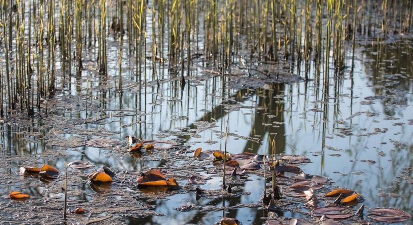 Napfény és enyhe szél – egy „könnyed” őszi napnak nézünk elébe Borsod-Abaúj-Zemplénben vasárnap