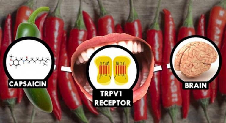 Mesterséges nyelv segíthet megmondani, mennyire csípős egy étel