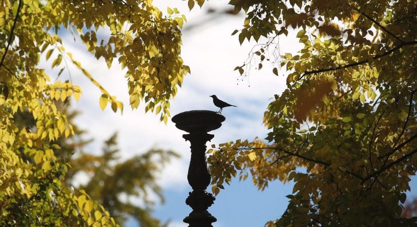 Az ősz talán utolsó melegebb napja lesz vasárnap - Ilyen lesz a holnapi időjárás