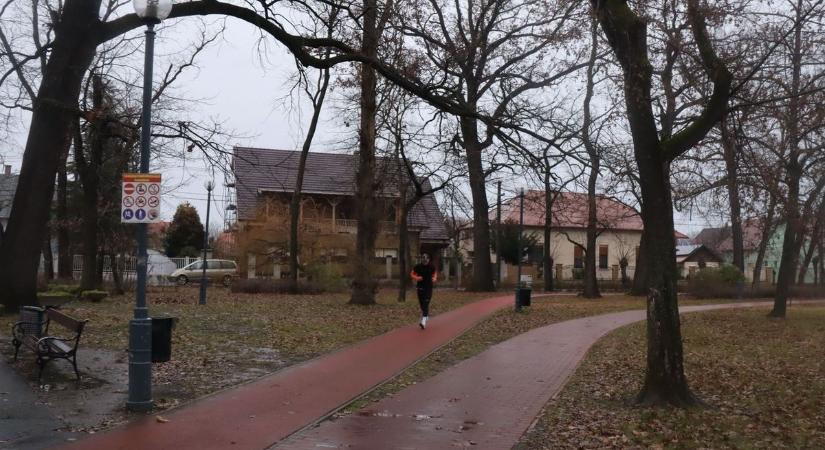 Makó legnépszerűbb parkja, a Petőfi park 265 millió forintból újul meg: új burkolatok, padok, esőkertek is készülnek