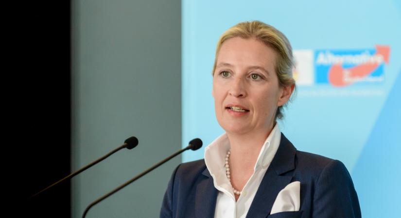 Határozott álláspont  videó