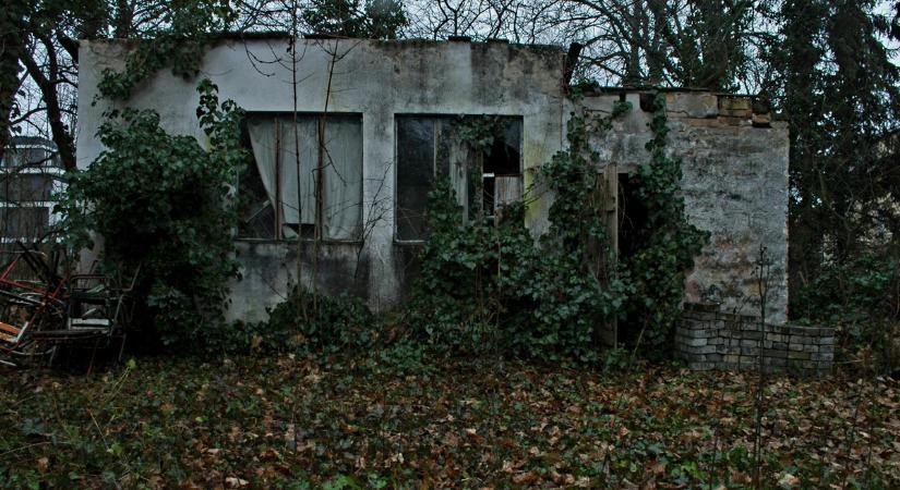 Levágott hajtincs és csikkek a hamutartóban: értékes kincsek lapulnak az elhagyatott, budapesti villában