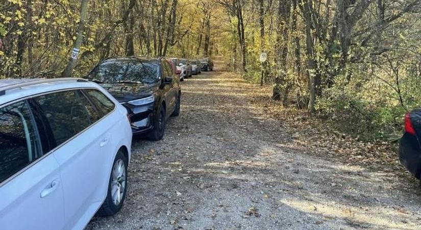 Elképesztő mentőakció a Gerecsében: kirándulók állták el a mentőcsapat útját