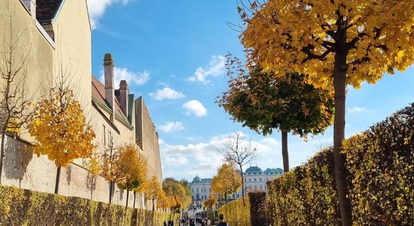 Miért változtatják színüket a levelek ősszel? A természet egyik legszebb rejtélye