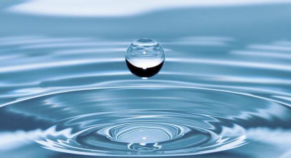 Szauer Lilla: Legyél, víz, barátom