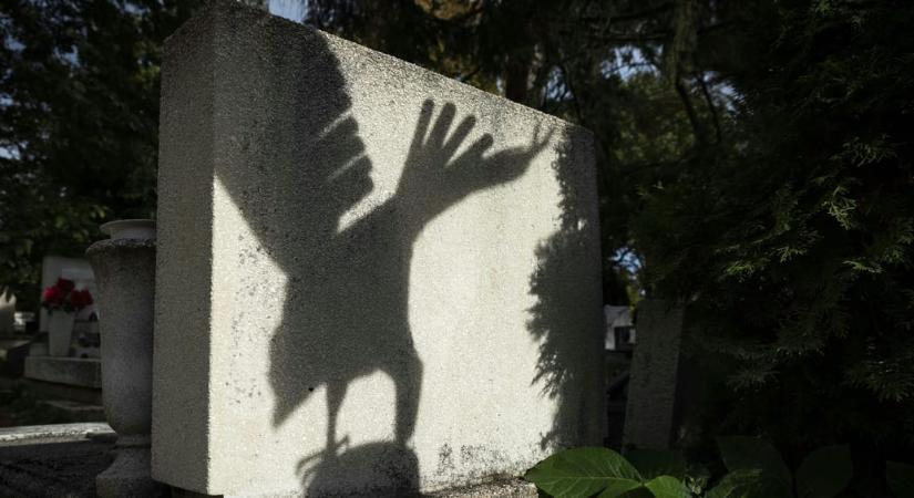 Egy év alatt kétszeresére drágultak a virágok a temetőkben