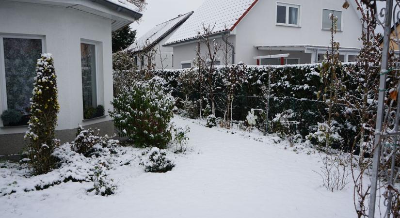 Ezek a növények jól bírják a telet