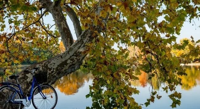 Szokatlan időjárás halottak napján, vasárnap - markáns front teheti mozgalmassá az estét