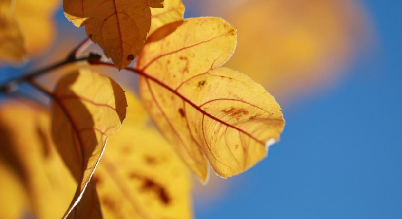 Napsütéssel indul a nap, de a vége nem lesz ennyire barátságos