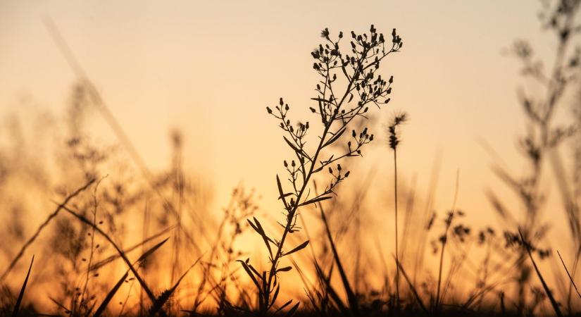 Többórás napsütés lesz vasárnap