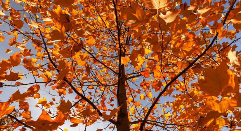 Továbbra sem tágít a vénasszonyok nyara, de este érhet meglepetés