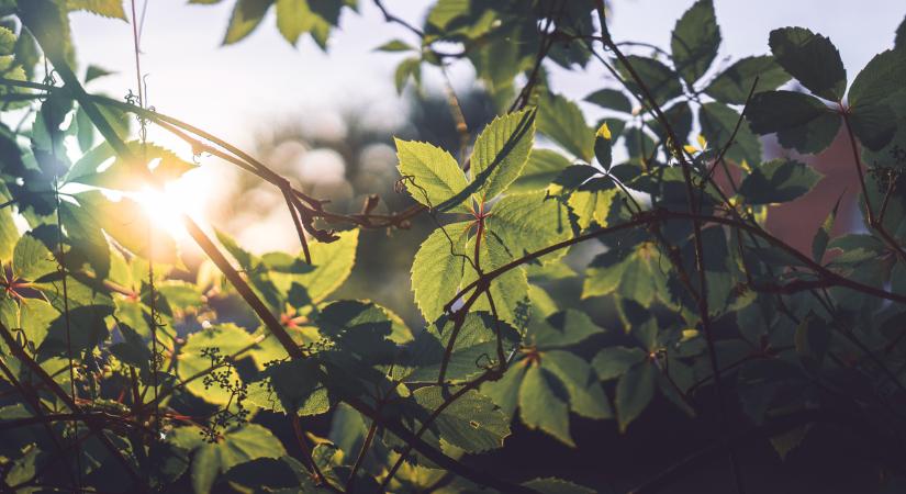 Óriási változás jön az időjárásban: végre lesz minek örülni