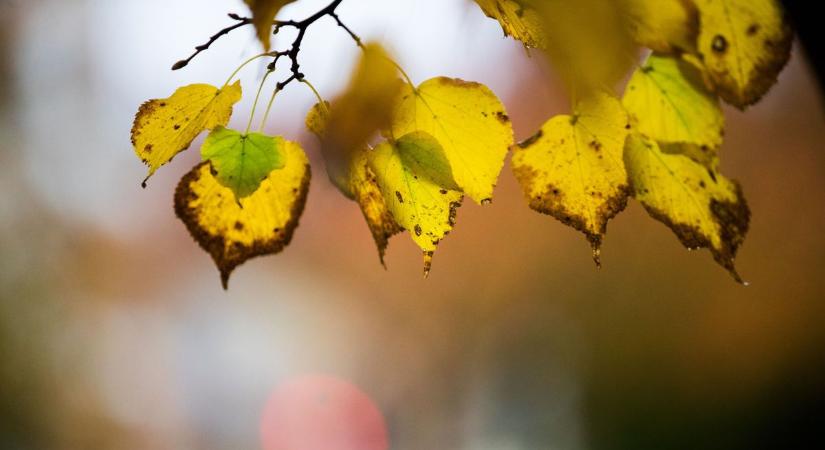 Napos kezdés után fordul az időjárás vasárnap