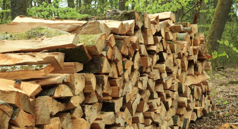 Szociális tűzifára lehet pályázni - mutatjuk hol és meddig