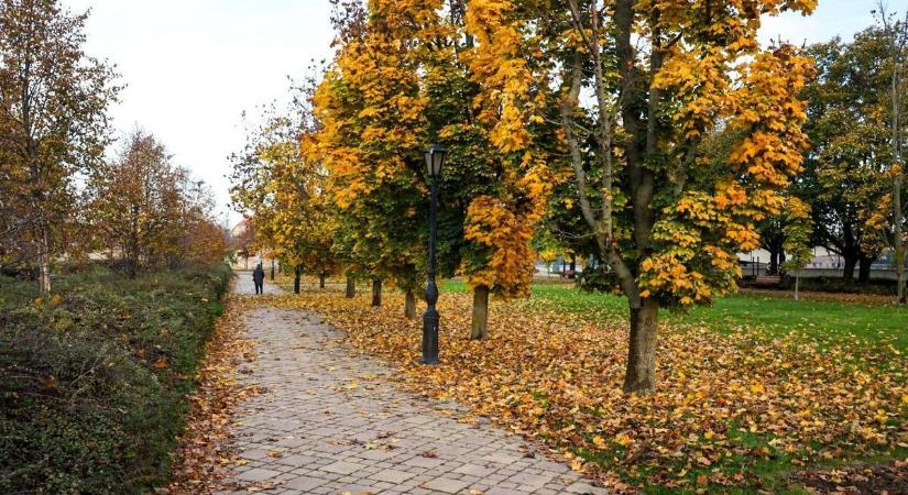 Alvászavartól szenvedsz? Ez lehet az oka!