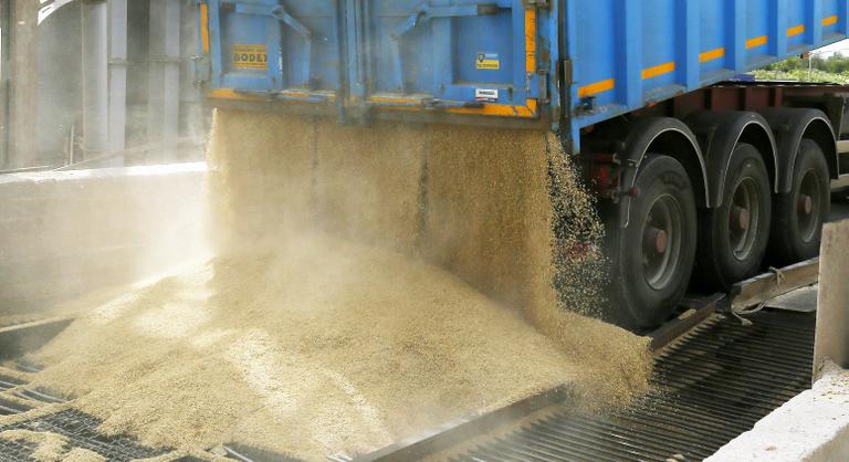 Politico: Brüsszel bíróság elé viheti Magyarországot, Lengyelországot és Szlovákiát