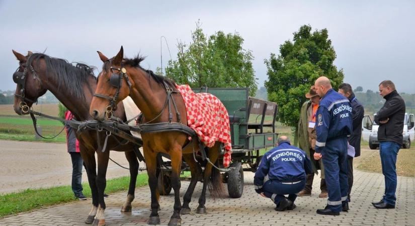 „A cigányasszonyt maguk előtt hajtották” – két gyermeke meghalt