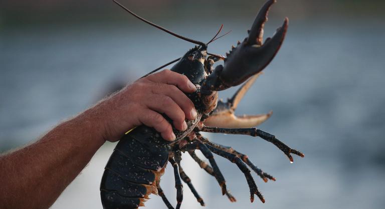 Egy karnyújtásnyira lehetünk a halhatatlanságtól