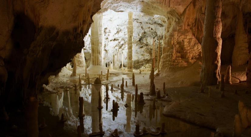 Divald Károly, az első magyar természetfotós