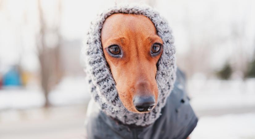 Figyelmeztetnek a meteorológusok: hosszú évek óta nem volt olyan novemberünk, mint ami idén jön