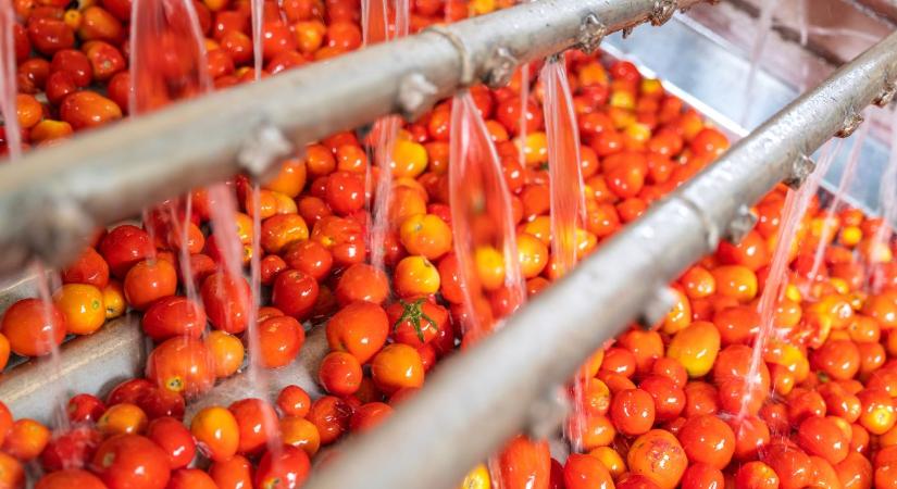 Mennyi vizet használ el az élelmiszeripar – és miért fontos ez?