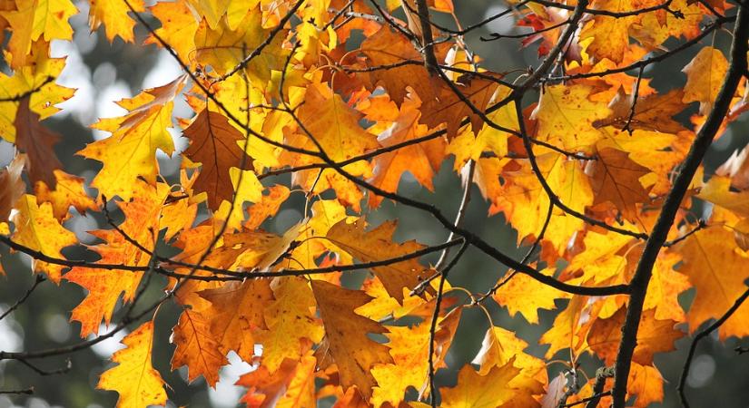 26 fok is lehet, de már hétfőn hidegfront érkezik