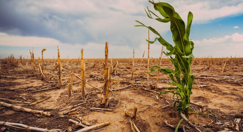 Érdektelenségbe fullad az idei klímacsúcs?