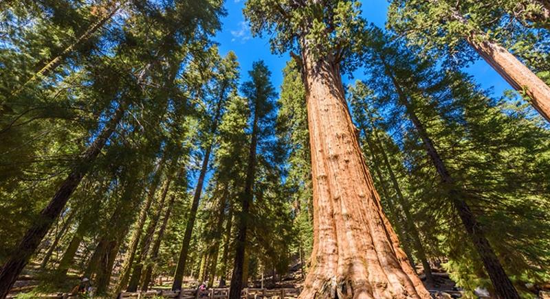 Tízszeresére nőtt a Zcash árfolyama: a fejlesztőcsapat új tervet közölt az utolsó negyedévre