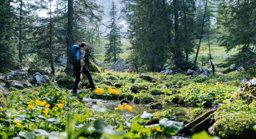 Ez lesz életed legszebb szurdoktúrája: az alpesi tájon egymást érik a vízesések