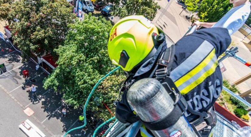 Macska lógott ki a tizedikről, a tűz elől menekült – időben megmentették