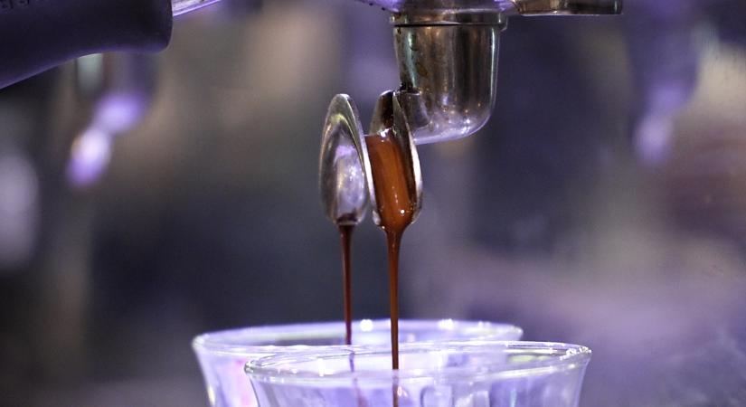 Minden csésze kávé mögött történet, íz és odafigyelés rejlik ebben a debreceni kávézóban – videóval