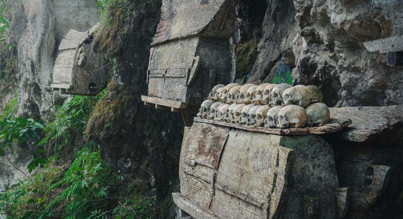 Tolna vármegye alatt borzalmas dolgot fedeztek fel, ilyen nincs máshol a világon