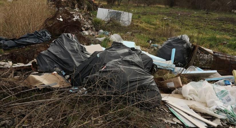 Könyörgöm, ezt semmiképpen ne vidd az erdőbe!