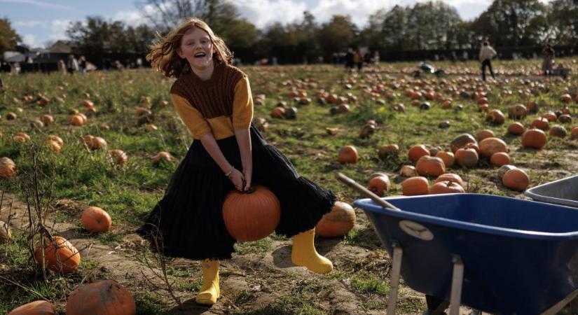 Halloween-tök, boszorkányevezés és Freddie Mercury a hét képein