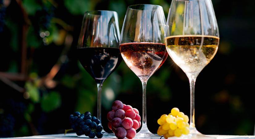 Nagy segítséget kapnak a magyar borászok: ez sok mindenre hatással lehet