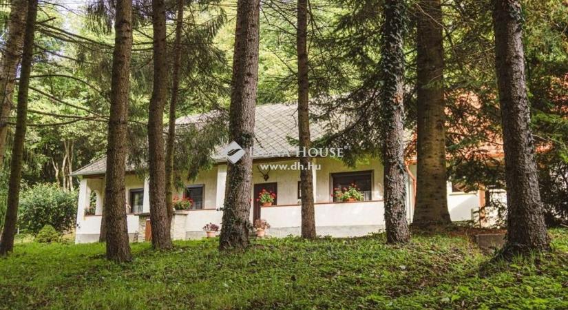 Háza lehet egy csodás szurdoknál, ahol a vadregényes Bakony a szomszéd (képgaléria, videó)