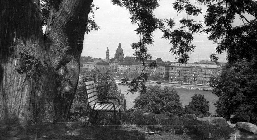 Hippik, nácik, csövesek? A Kádár-rendszer rettegett a fiatalságtól