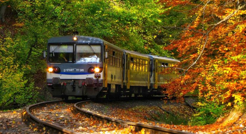 Csodaszép az aranysárga Bakony ősszel - olvasónk fotói