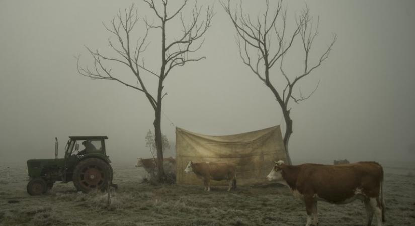 Parasztromantika helyett értő figyelem és valódi jelenlét kell a sikerhez