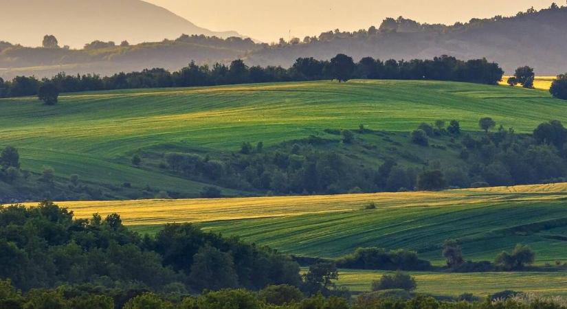 Sokféleség mentheti meg a mezőgazdaságot