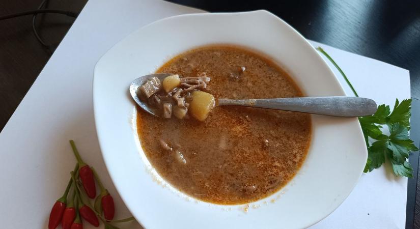 Ez az erdei gomba tényleg úgy néz ki, mint névadója – és ilyen finom leves készíthető belőle