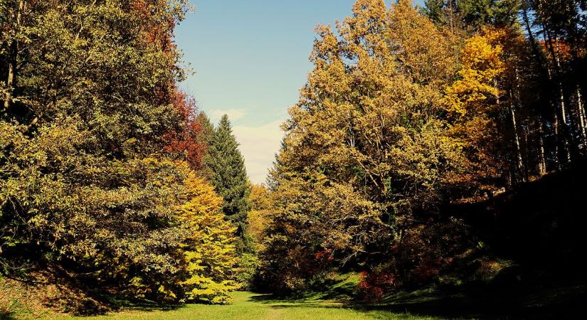 Ezer színben pompázik, ezt a zalai völgyet neked is be kell járnod! (galéria)