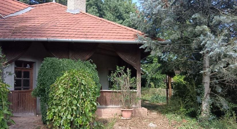 Nyisson vendéglőt a 81-es mellett, mutatjuk hol és mennyiért