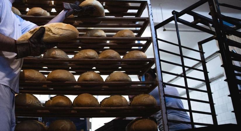 Sokkoló amit ezekben a szabolcsi pékségekben láttak a vásárlók! Rovar a pizzaszeletben, penészes kifli, bunkó alkalmazottak