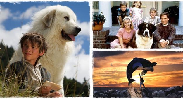 A 8 legjobb állatos film, amit a család minden tagja szeret