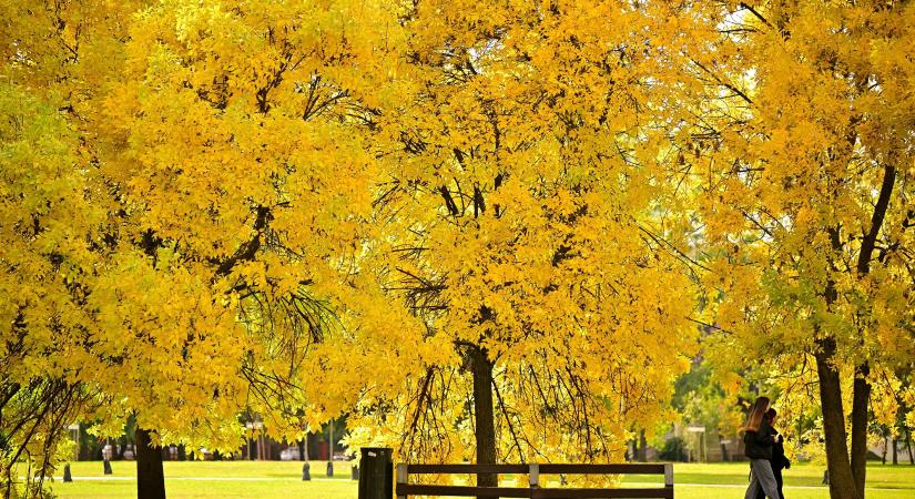 Folytatódik a csendes őszi idő
