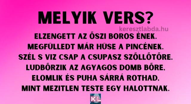 Napi irodalom feladat: Felismered a verset?