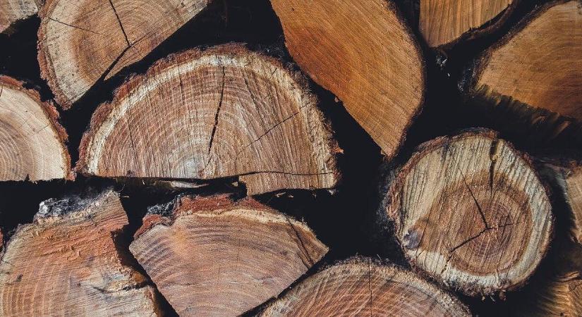 Használható trükkök a megfelelő tűzifa kiválasztásához