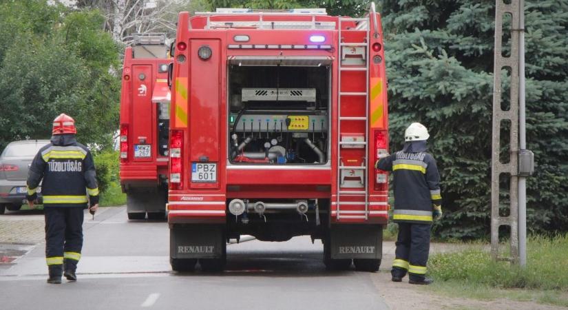 Bokrok égtek a Balatonnál, a háztető is lángra kapott