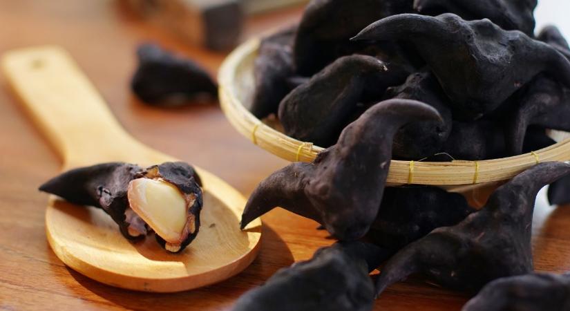 A víz tüskés kincse: a sulyom